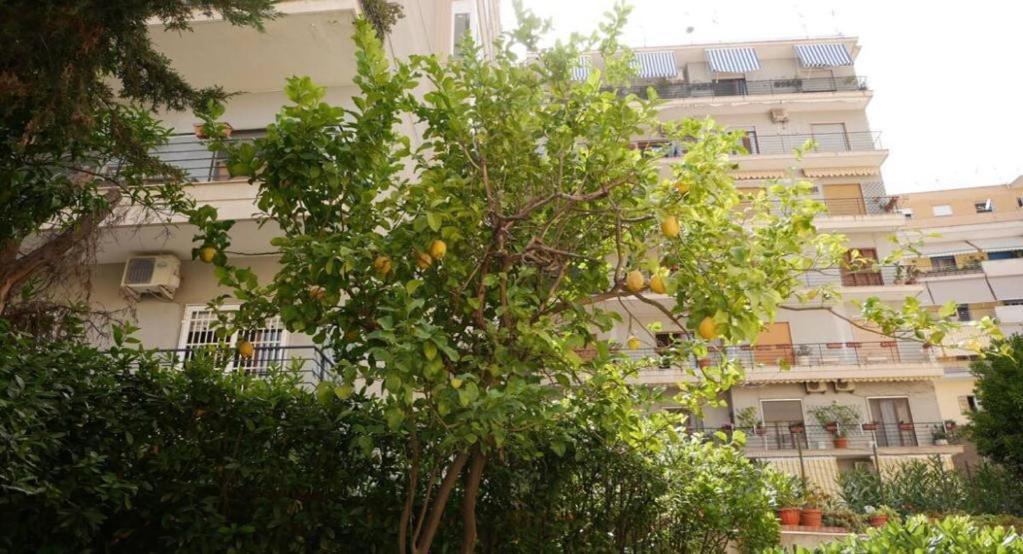House With Garden And Parking Space In Mergellina Appartamento Napoli