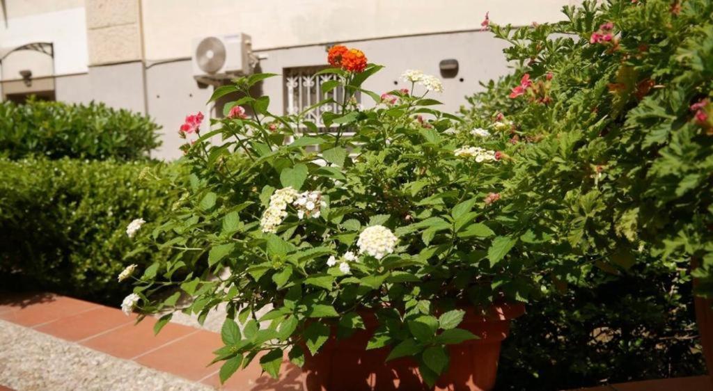 House With Garden And Parking Space In Mergellina